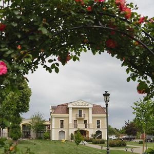 Hotel Cardinal-Domeniile Martinutzi